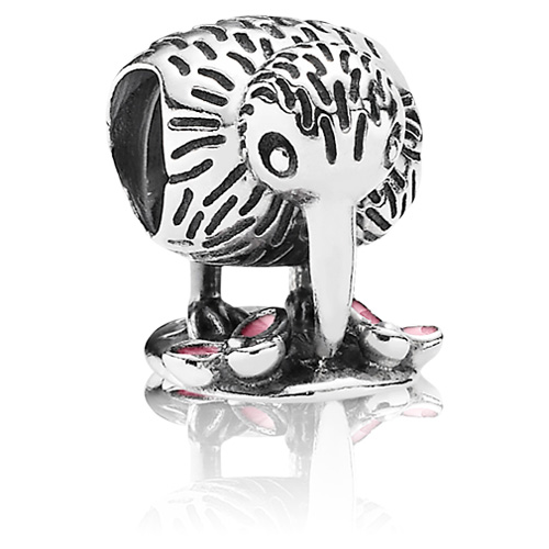 Kiwi Bird Charm