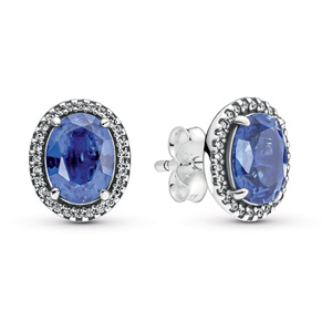 Sparkling Statement Halo Stud Earrings