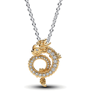 Two-Tone Chinese Year of the Dragon Necklace