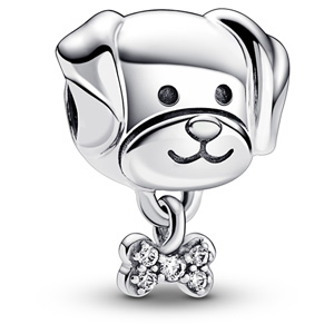 Pet Dog and Bone Charm