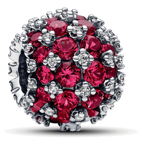 Newest Pandora Charms