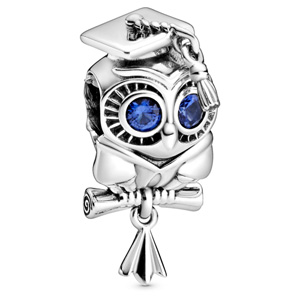 Wise Owl Graduation Charm